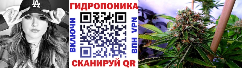 Цена Дмитров Каннабис  COCAIN  Гашиш 