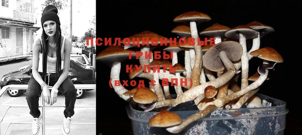 молекула духа Армянск