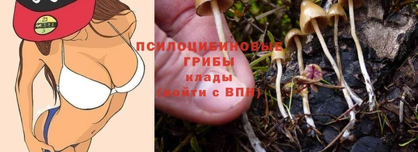 МДПВ Аркадак