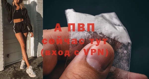 молекула духа Алексин
