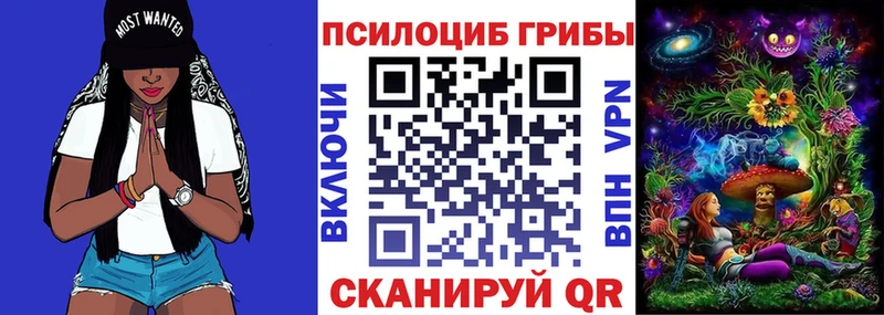 купить закладку  Дмитров  Псилоцибиновые грибы мицелий 