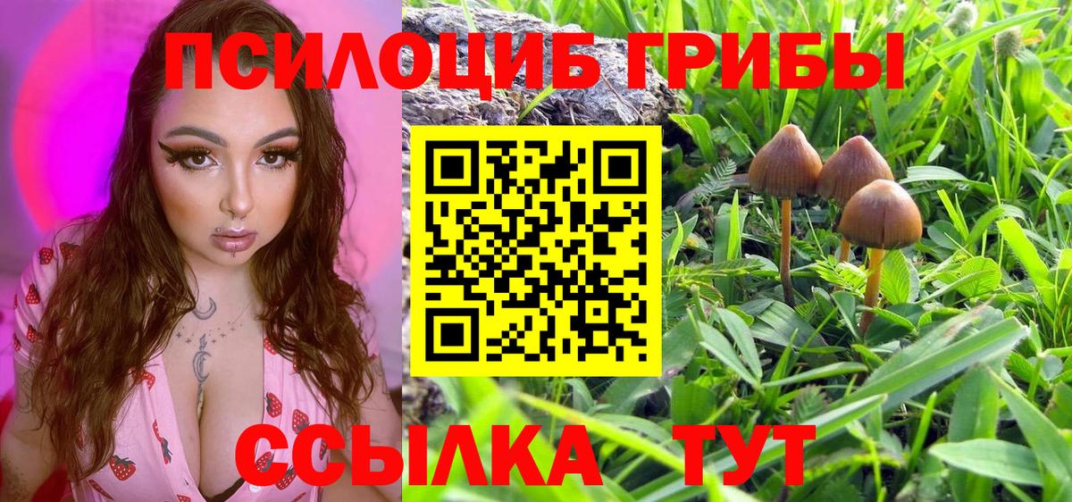 дарнет шоп  Псилоцибиновые грибы мухоморы  Вход с VPN  Галлюциногенные грибы Psilocybine cubensis  Дмитров 